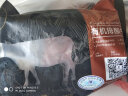 天莱香牛 【烧烤季】国产新疆 有机原切牛腩500g 谷饲排酸生鲜冷冻牛肉 实拍图