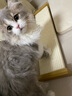 SmartCat剑麻猫抓板卧式贵妃榻爪爪乐猫咪磨爪玩具用品大号耐抓不掉屑猫抓 实拍图