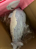 COSY COSY海豚按摩枕 多功能颈椎按摩器全身按摩仪抱枕可拆洗 女生节日礼物 实拍图