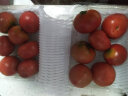 小汤山【小汤山】黄金番茄 约350g 新鲜蔬菜基地种植当天采摘 晒单实拍图