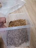 KERRY面包虫活体饲料黄粉虫鸟鱼龟蜥蜴金龙鱼鬃狮蝎子守宫食物幼体幼虫 1斤虫子+1斤麦麸（鲜活） 实拍图