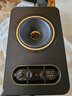 TANNOYGOLD天朗音箱gold5 7 8同轴有源监听音箱混音录音工作室监听音箱 GOLD 7单只【送音频线+音箱垫+氛围灯】 实拍图