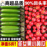 土地母亲计划 圣女果水果黄瓜小柿子千禧小西红柿茄瓜果小黄瓜小青瓜代餐轻食 圣女果+小黄瓜 5斤 【各2.5斤】 实拍图