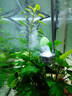 沐鱼牧梵仟锐水草缸二氧化碳CO2细化器缸外置雾化扩散器进出管除油膜 牧梵新款L35二氧化碳细化器 实拍图