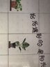 初诚3D立体墙贴春天墙面装饰墙上贴画自粘遮丑补洞贴纸墙纸小图案 阳光小盆栽（新拼版） 大(非整张贴、组合贴) 实拍图