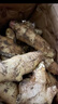 鲜来拉现挖嫩姜生姜鲜姜腌制仔姜芽带泥发红芽姜醋泡5斤3斤蔬菜 【尝鲜】 3斤 斤装 实拍图