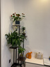 森特玛花架子铁艺多层室内阳台置物实木客厅落地欧式植物盆栽架简约多肉 黑柱+柚木色板（140高） 实拍图