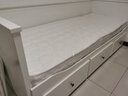 织女床垫汉尼斯坐卧两用床垫80x200cm可折叠椰棕垫宽1.6x2米费斯多 可拆丨折叠8cm偏硬丨椰维 0.8X2.0米 实拍图
