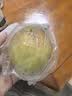 果味鲜玉露香梨【现货速发】 新鲜水果梨子  脆甜多汁 核小无渣 净重9斤  单果250克左右 实拍图