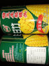 甘竹牌 甜玉米粒罐头 即食美味方便速食广东特产 玉米粒425g*2 实拍图