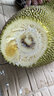 保蓉生鲜水果俱乐部【新鲜水果】菠萝蜜海南三亚果园现摘现发热带优质精品新鲜水果 25-29斤菠萝蜜 实拍图