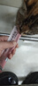 馋小汪猫咪零食猫条妙鲜湿粮包猫零食成猫幼猫营养鱼油猫罐头整箱批发 90支收纳盒装 鸡肉 实拍图
