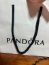 潘多拉（PANDORA）包装袋子P12001P12001均码生日礼物送女友 实拍图