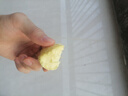 鸡蛋黄板栗红薯正宗广东潮汕现挖现发鲜香甜粉糯白皮黄心番薯地瓜 小果 3斤 实拍图