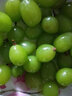 阳光玫瑰葡萄晴王香印子新鲜水果日本品种 精品3斤串果 单粒8-10g 实拍图