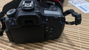 佳能/Canon 60D 70D 80D 77D 90D 二手单反相机 半画幅中端级数码相机 60D 单机 99新 实拍图