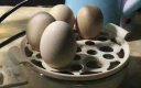 优益（Yoice） 煮蛋器自动断电蒸蛋器 多功能迷你早餐蒸煮器防干烧  家用插电懒人煮温泉蛋玉米神器 双层14枚蛋-蓝色 晒单实拍图