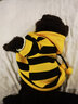 嬉皮狗春秋狗狗小蜜蜂衣服泰迪约克夏小型幼犬可爱带帽包肚衣雨衣家居服 春款#黄黑小蜜蜂卫衣 S(建议体重3-5斤) 实拍图
