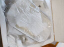 北欧简约ins餐具2个鱼盘子家用陶瓷器盘子菜盘长方形菜碟微波 金枝玉叶30厘米鱼盘2个2个小勺 实拍图