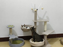 憨憨宠 猫爬架猫架带窝猫抓柱猫窝一体猫抓柱猫架子猫抓板宠物猫咪玩具 三层1米带勺款 实拍图