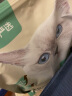 网易严选 全价猫粮 宠物主粮幼猫成猫全价粮猫咪食品 7.2kg（4袋整箱装） 实拍图