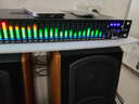 depusheng 得普声2231专业双31段均衡器带压限舞台周边设备演出均衡器高中低调节带压限 2231 实拍图