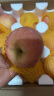 诱鲜地山东烟台红富士苹果18个 净重9斤大果80-85mm 脆甜新鲜水果礼盒 晒单实拍图