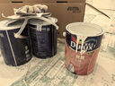 多乐士（Dulux）致悦竹炭抗甲醛全效无添加内墙漆乳胶漆室内墙面漆油漆涂料 A740S 升级抗病毒 单桶 白漆 5L*1件 实拍图