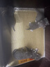 KimPets猫咪凉席垫夏天四季通用猫垫子降温睡觉用猫窝睡垫宠物冰垫狗垫子 【降温凉席垫】好柿成双 L【60cm*50cm】适合10斤内猫狗 实拍图