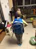 DR米其书包小学生男女生减负双肩儿童书包男童减负背包男孩1-3-6年级 天蓝色（反光板） 大号（3-6年级） 实拍图