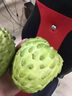 采缇（CAITI）现货大目凤梨释迦果5斤 新鲜番荔枝佛头果水果孕妇整箱 一个装（单果250g左右中通快递） 实拍图