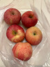 农鲜淘洛川红富士苹果6枚单果160g+ 新鲜水果生鲜脆甜陕西特产 源头直发 实拍图