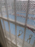 美杜 阳台防护网 安全防坠塑料网围栏网阳台防漏防盗网护栏防猫宠物 0.8孔1米宽3米长 实拍图