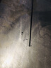 狼王乐钓矶钓竿矶竿碳素超轻超硬海竿鱼竿海杆抛竿远投套装 7.2米+狼王乐钓3000金属轮+礼品 实拍图