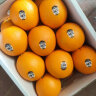 CAIFAN新奇士橙3107黑标脐橙新鲜进口sunkist美橙甜橙子水果 3斤 晒单实拍图
