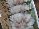 babycare[品牌直供安心品质]狮子王国拉拉裤皇室系列尿不湿婴儿超薄透气 纸尿裤【S】4片 适合4-8KG 实拍图