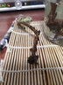 萌妹 驱蚊草盆栽柠檬味驱蚊植物驱蚊香草香叶天竺葵四季常青 驱蚊草苗1盆起 不含盆 实拍图