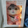 赟娅可爱猫咪玩偶睡觉抱公仔床上小猫仿真礼物变身猫咪女友朋友生日礼 礼袋装+变身独角兽喵喵-30厘米 圣诞新年礼物女生日礼物女孩女朋友节日礼物 实拍图