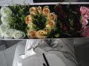莱一刻鲜花速递玫瑰花束礼盒表白送女友老婆生日礼物全国同城配送 19朵红玫瑰花束 实拍图