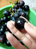 云南夏黑葡萄新鲜2024应当季无籽葡萄黑加仑提子孕妇水果整箱 5斤(单果10g+) 实拍图