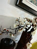 花艺赫家饰  仿真梅花枝假花摆件绢花腊梅干花桃花客厅摆设花束中式家居装饰 24cm月满西楼梅花 白色【2支】 实拍图