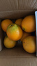 京地达江西赣南脐橙 9斤单果185g+大果甜橙子新鲜水果源头直发包邮 实拍图