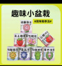 双盟神奇种植罐头教师节网红同款盆栽儿童绿植创意植物送老师感恩盆栽 晒单实拍图