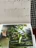 室内绿植完整手册（我的植物生活新提案系列） 中信出版社 实拍图