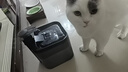 SMARTTAIL宠物猫咪饮水机4400mAh+季度滤芯 黑色套装 实拍图