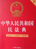 中华人民共和国民法典（大字版 含新司法解释）正版:法律条文·司法解释·典型案例 实拍图