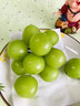 果贤达晴王阳光玫瑰葡萄日本引进品种当季新鲜无核无籽香印葡萄水果 2斤 【一级果】 实拍图