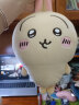 名创优品（MINISO）chiikawa中号站姿公仔正版玩偶毛绒玩具生日礼物女 Usagi乌萨奇 晒单实拍图