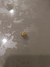金小貅黄金转运珠999足金车花珠圆珠路路通吊坠项链挂坠手串DIY隔珠 1.1g,车花圆珠【多退少补】 实拍图