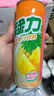 绿力味丹菊花茶 植物饮料 475ml 中国台湾果汁饮料 维c果茶饮品 实拍图